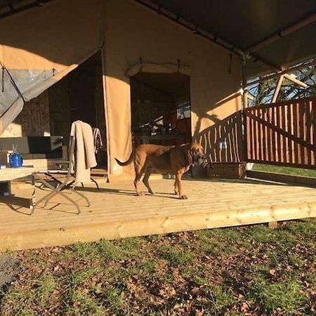 Lapwing Safari Tent Челтенхам Экстерьер фото